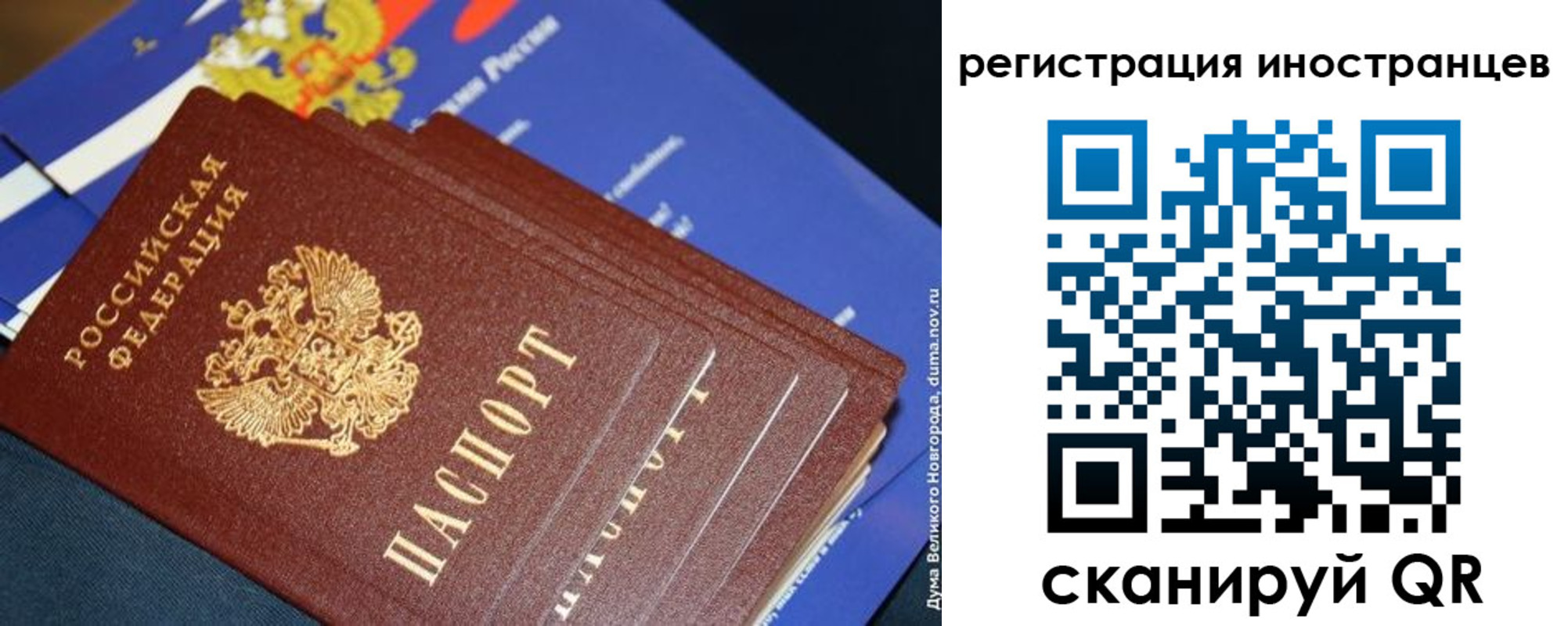 прописка поиск в Тамбове